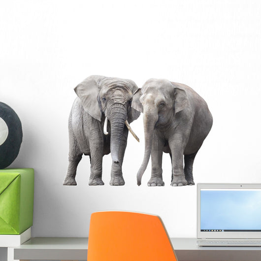 Pair Elephants White