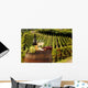 White wine with barell in vineyard, Chianti, Tuscany, Italy Wall Mural