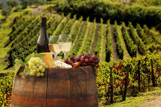 White wine with barell in vineyard, Chianti, Tuscany, Italy Wall Mural