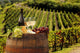 White wine with barell in vineyard, Chianti, Tuscany, Italy Wall Mural