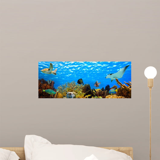 Underwater Panorama Tropical Reef