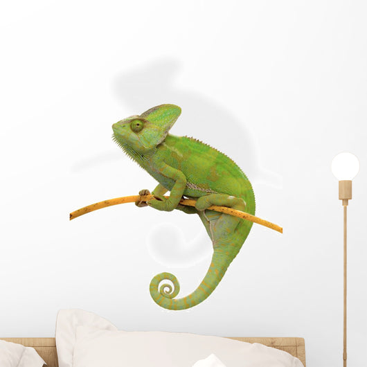 Chameleon Wall Decal