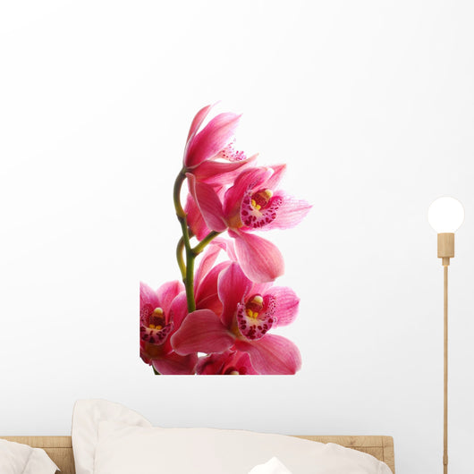 Dark Pink Orchid