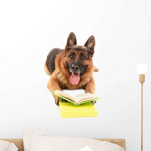 Funny Cute Dog with