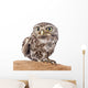 Little Owl Wall Decal