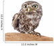 Little Owl Wall Decal