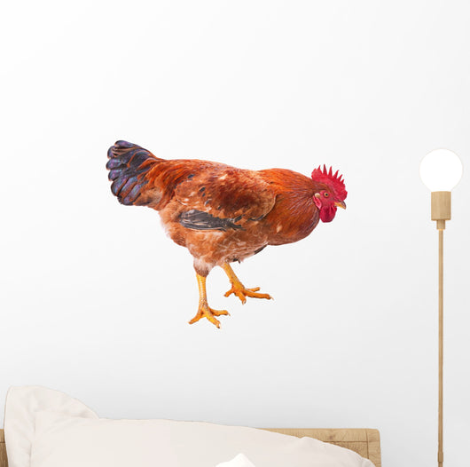 Red Rooster