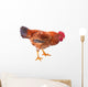 Red Rooster