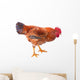 Red Rooster