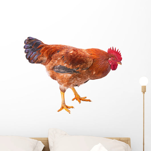 Red Rooster