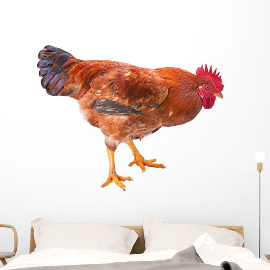 Red Rooster