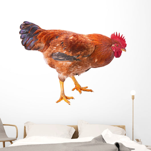 Red Rooster