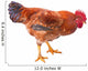 Red Rooster