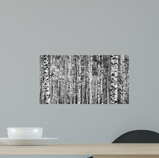 Trunks Birch Trees Black