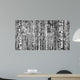 Trunks Birch Trees Black
