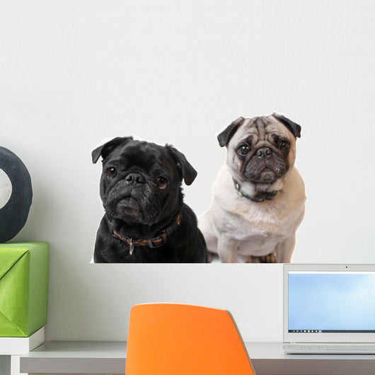 Pugs Wall Decal