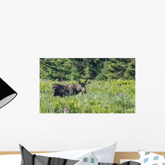 Bull Moose Velvet Wall Decal