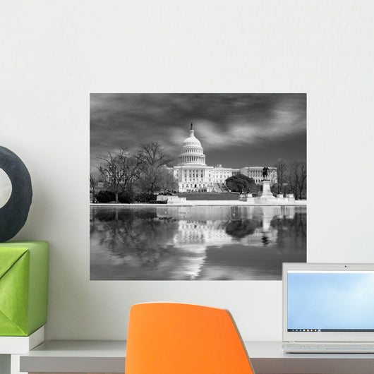 Washington DC, US Capitol building Wall Mural