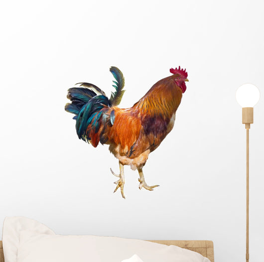 Rooster with Spurs