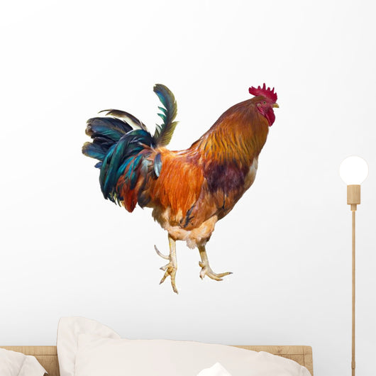 Rooster with Spurs