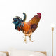 Rooster with Spurs