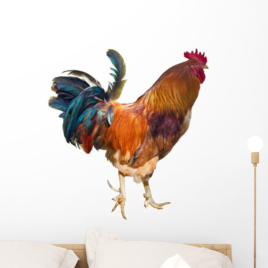 Rooster with Spurs