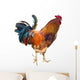 Rooster with Spurs