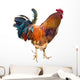 Rooster with Spurs