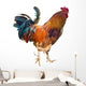 Rooster with Spurs
