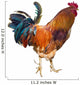 Rooster with Spurs