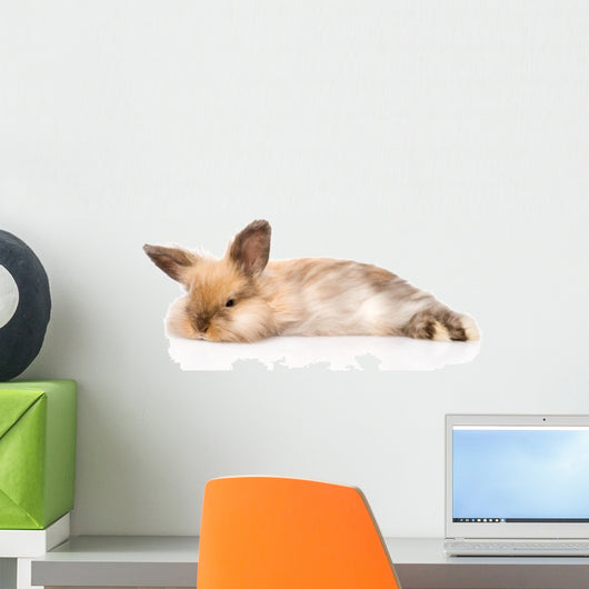 Fluffy Rabbit Wall Decal