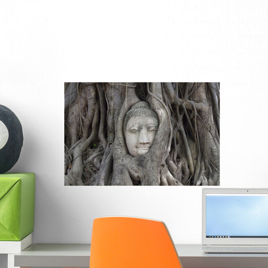 Buddha Statue Head Banyan