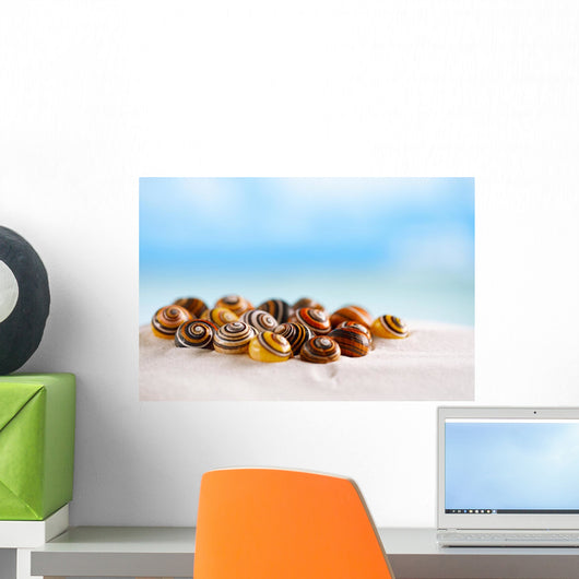 Bright Polymita Shells White Wall Decal