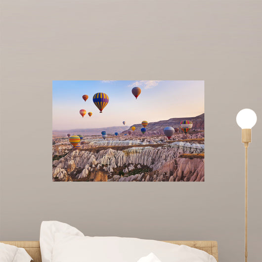 Hot Air Balloon Flying