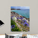 Flowers Front Minack Theatre