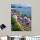 Flowers Front Minack Theatre