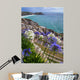 Flowers Front Minack Theatre
