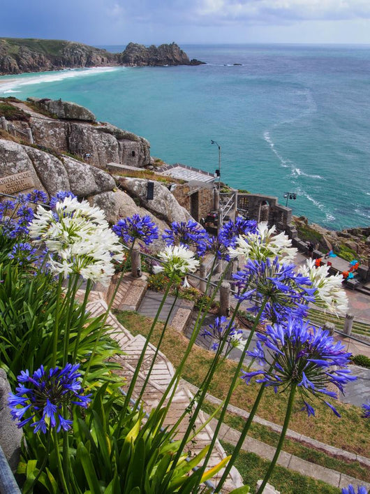 Flowers Front Minack Theatre