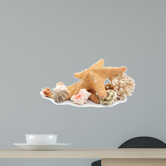 Seashells Sand White