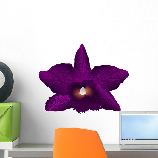 Pink Cattleya Orchid White