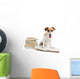 Cute Happy Dog Back