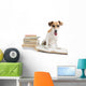 Cute Happy Dog Back