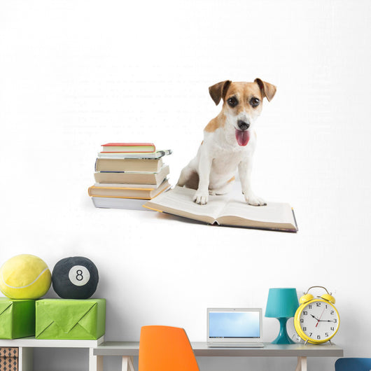 Cute Happy Dog Back