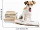 Cute Happy Dog Back