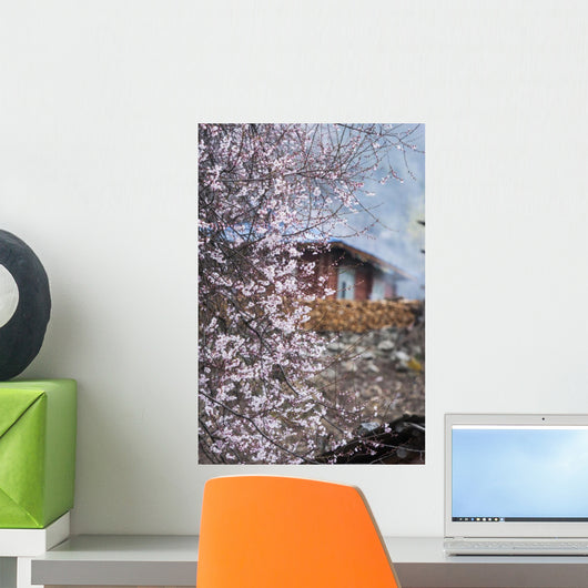 Peach Blossom