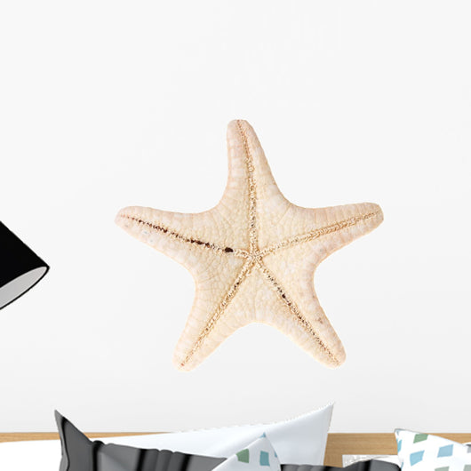 Starfish White