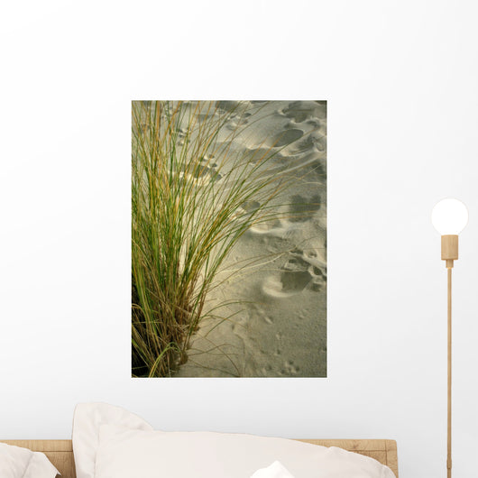 dune Wall Mural
