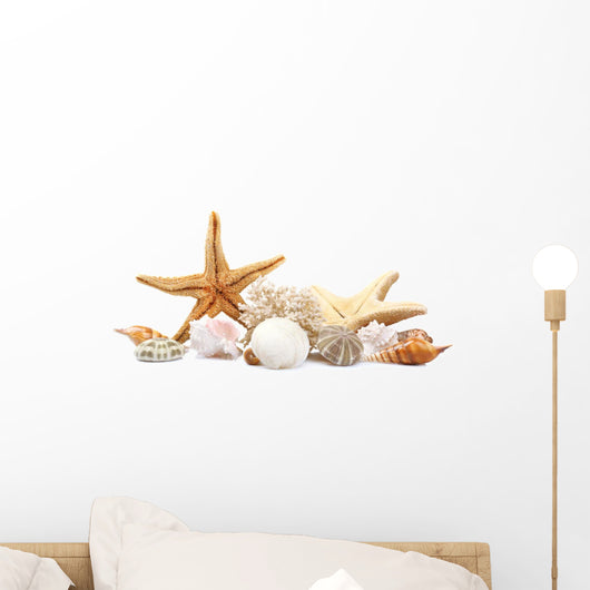 Seashells Sand White Wall Decal