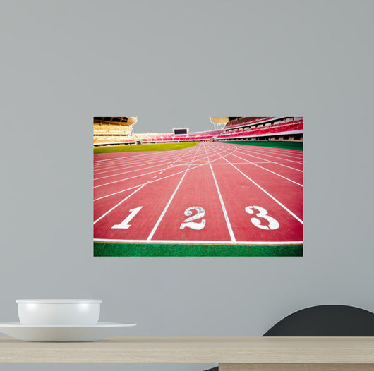 stadium Wall Mural