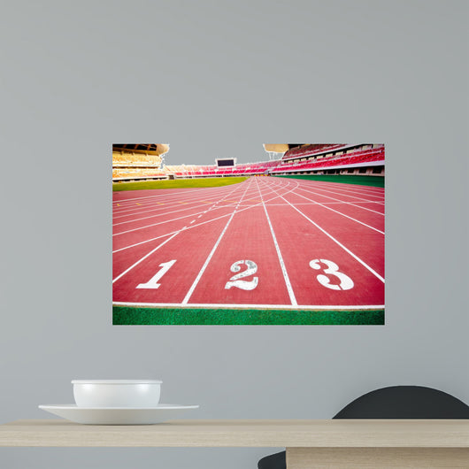 stadium Wall Mural